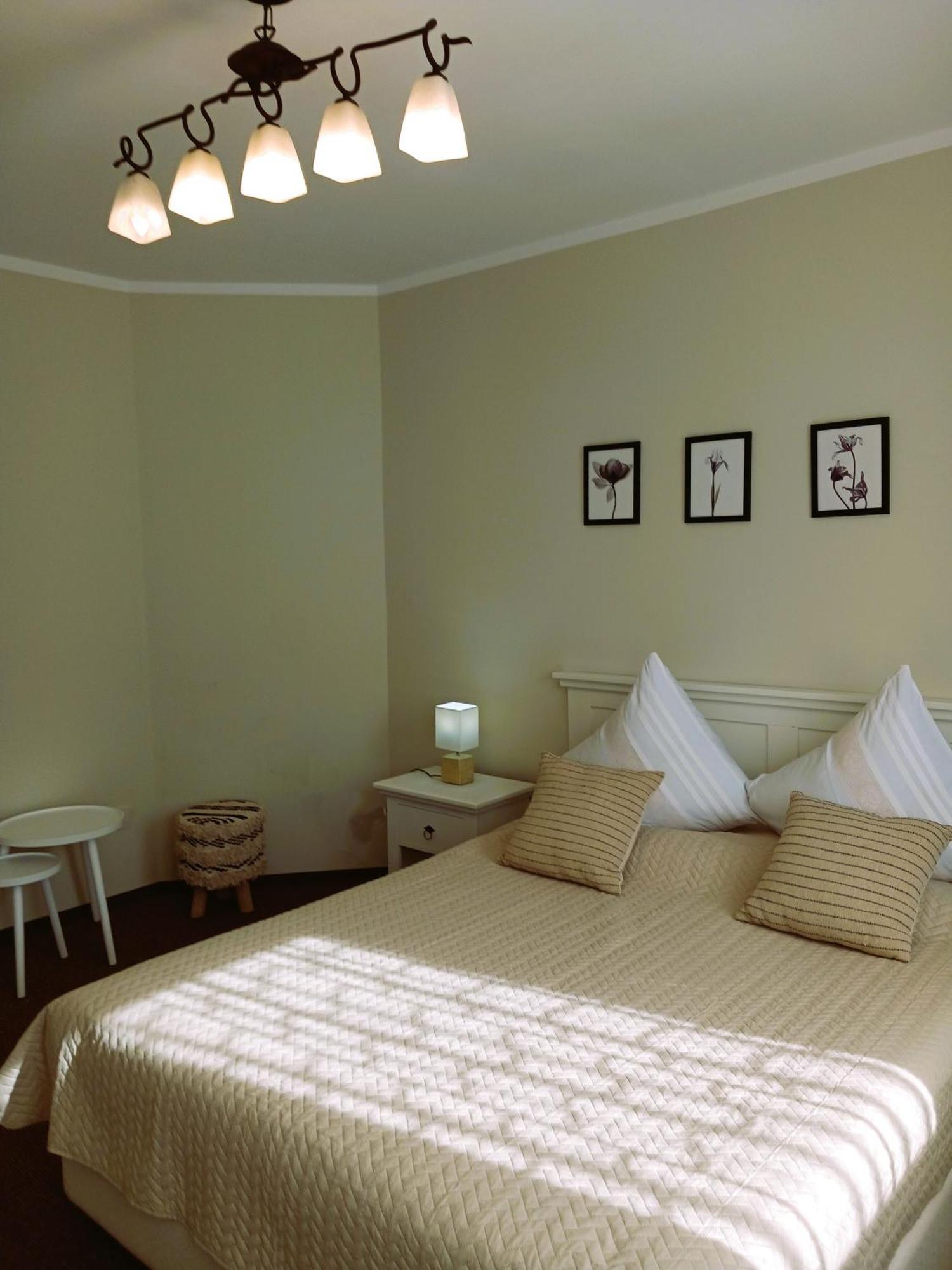 Casa Calin Hotel Vama  Buitenkant foto